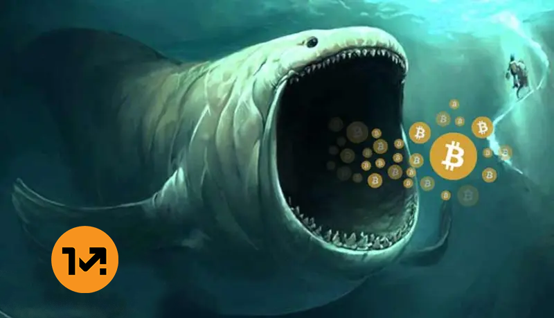 فروش ۳.۴ میلیارد دلاری نهنگ‌های بیت کوین از ابتدای دسامبر تا الان؛ نرخ در محدوده‌ی ۹۲ هزار دلار